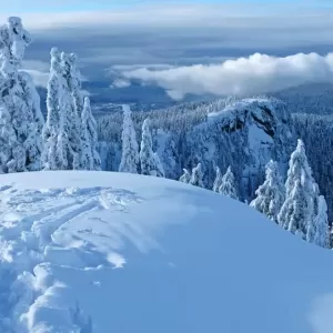 去之前要先领证！Mount Seymour 省立公园将启用高峰期日间通行证制度