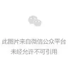 新西兰“白人正在被大替代”？！有人喊“夺回我们的国家”！