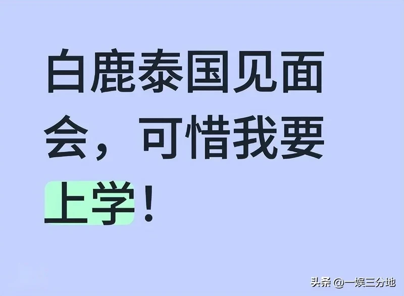 白鹿泰国见面会取消后 被扒曾为缅北拍宣传片